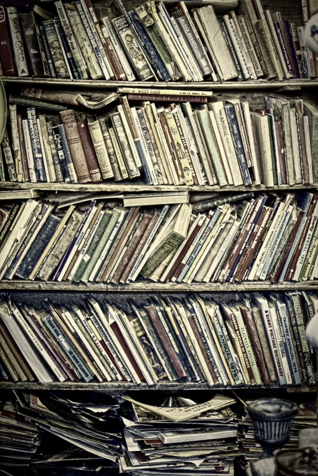 CC Flickr Rob Ellis'