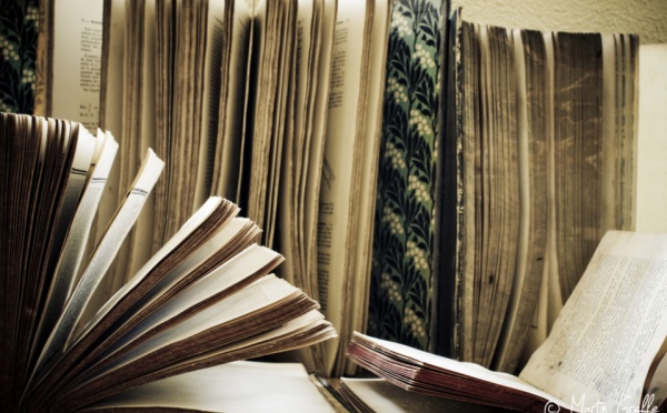 Proposez des webservices utiles